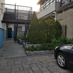 Dragon Gate 3*, Toronto Canada